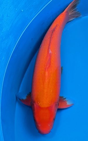 PXL 20251202 114441825.PORTRAIT.ORIGINAL4